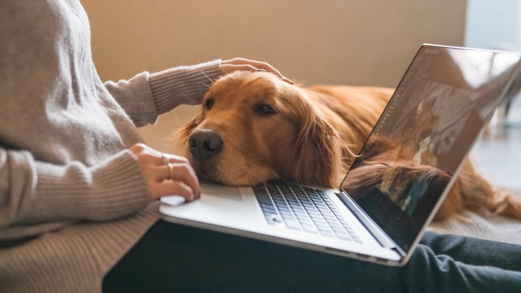 pet industry statistics 2026, pet market growth trends 2026, pet spending surge 2026, global pet industry insights 2026, pet care market size 2026, pet industry revenue 2026, pet ownership trends 2026, pet healthcare market growth 2026, pet technology trends 2026, premium pet products market 2026, pet industry outlook 2026, pet economy growth 2026